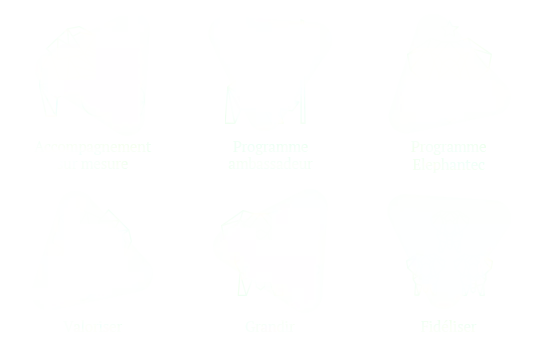 Identité graphique Elephant Technologies